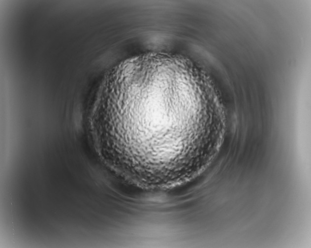 X0000089740266200707051802