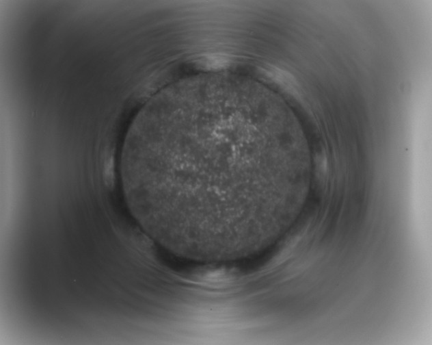 X0000089740267200707051802