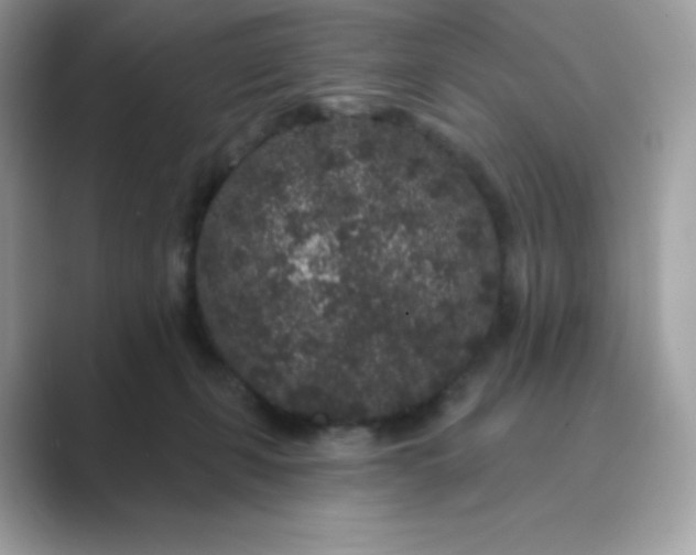 X0000089740271200707051802