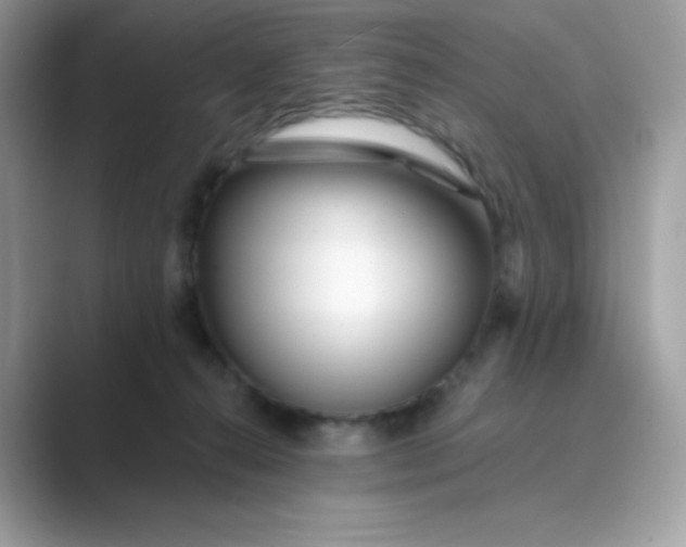 X0000089740272200707051802