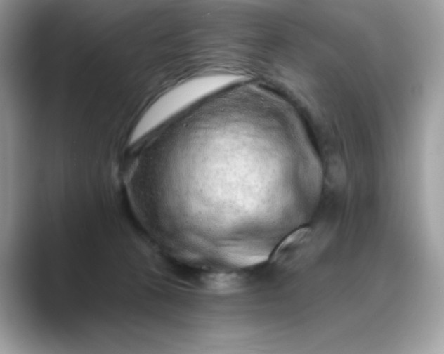 X0000089740273200707051802