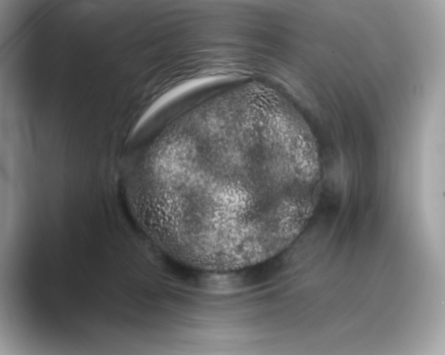 X0000089740277200707051802