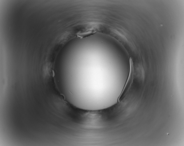 X0000089740280200707051802