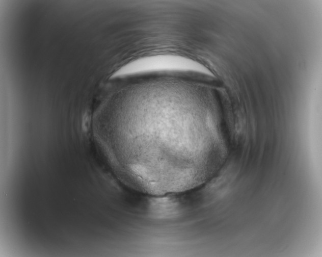 X0000089740281200707051802