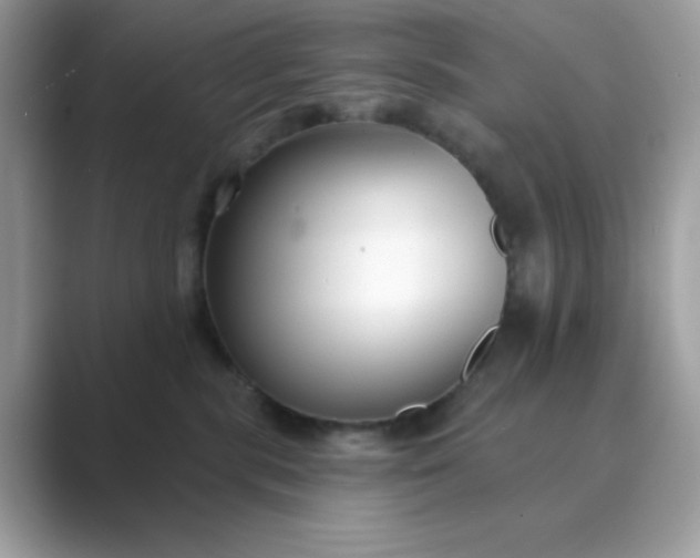 X0000089740283200707051802