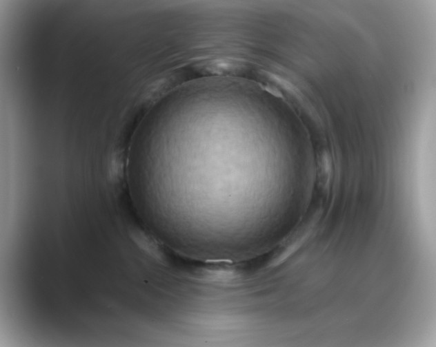 X0000089740284200707051802