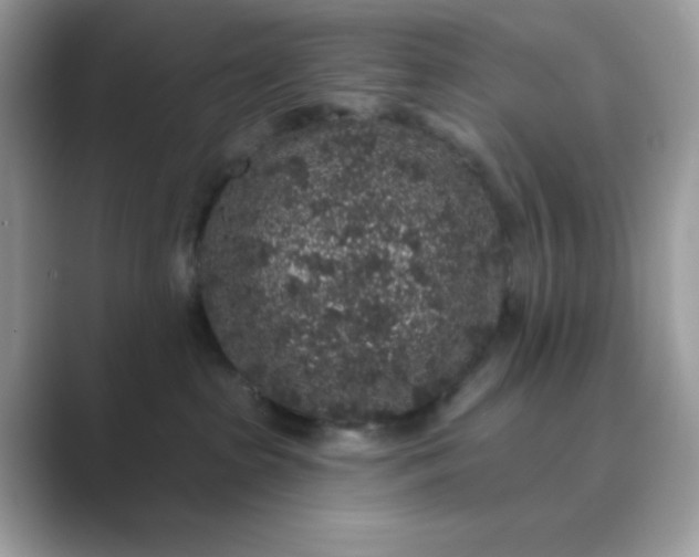 X0000089740285200707051802