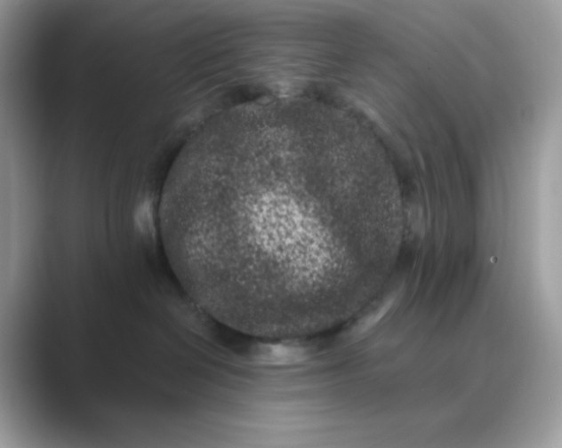 X0000089740286200707051802