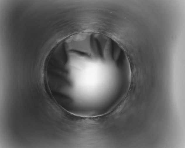 X0000089740290200707051802