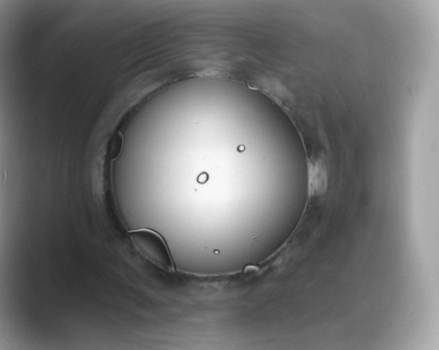 X0000089740291200707051802