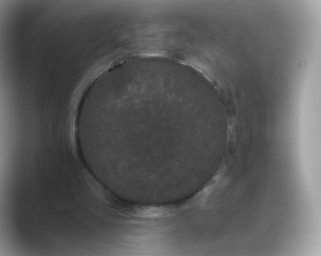 X0000089740293200707051802