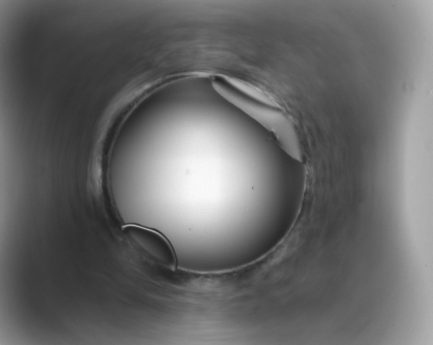 X0000089740294200707051802