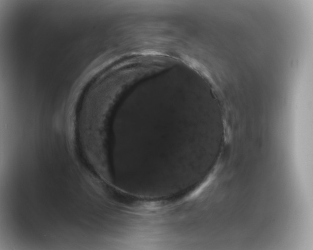 X0000089740295200707051802