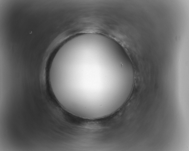 X0000089740296200707051802