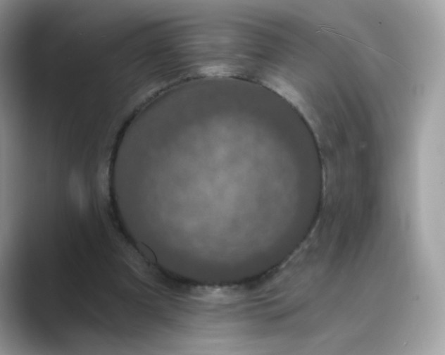 X0000089740297200707051802