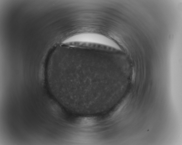 X0000089740303200707051802