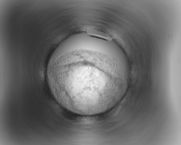 X0000089740305200707051802