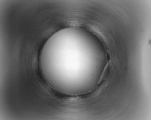 X0000089740306200707051801