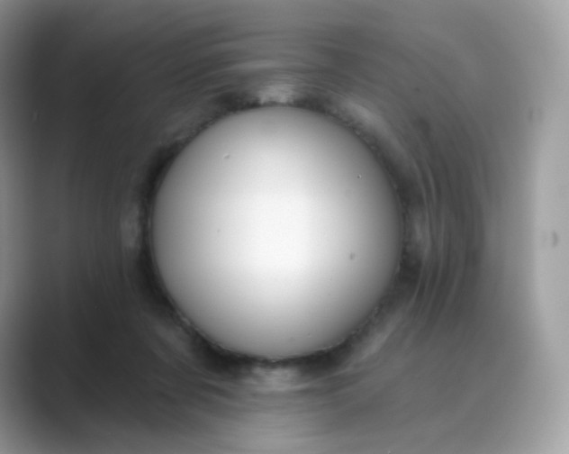 X0000089740311200707051801