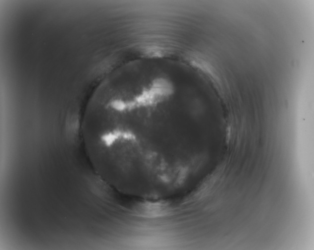 X0000089740314200707051801