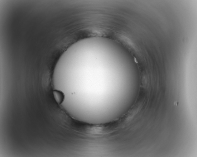 X0000089740318200707051801