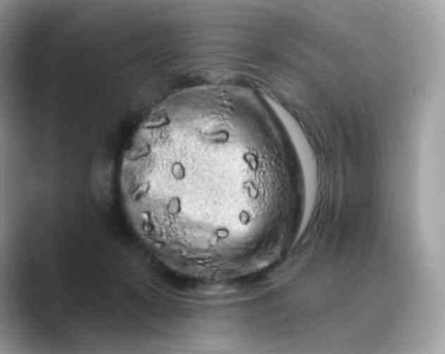 X0000089740319200707051801