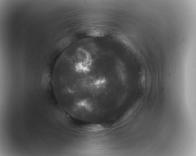 X0000089740322200707051801