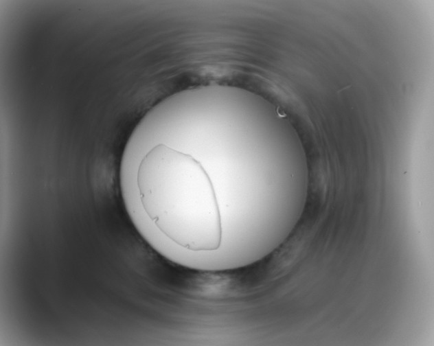 X0000089740328200707051801