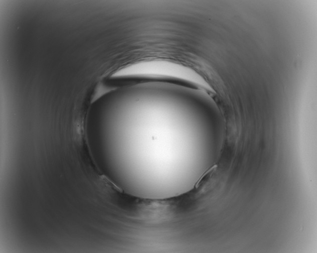 X0000089740329200707051801