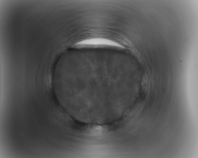 X0000089740330200707051801