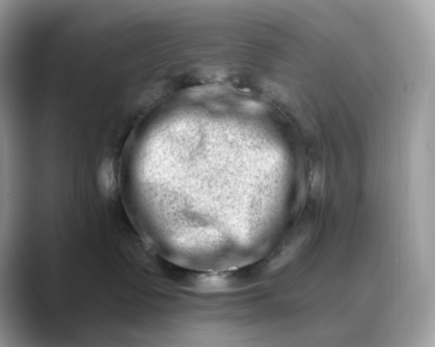 X0000089740335200707051801