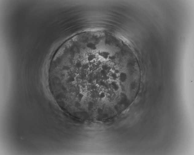 X0000089740337200707051801