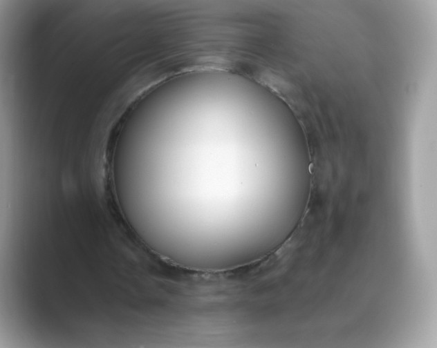 X0000089740338200707051801