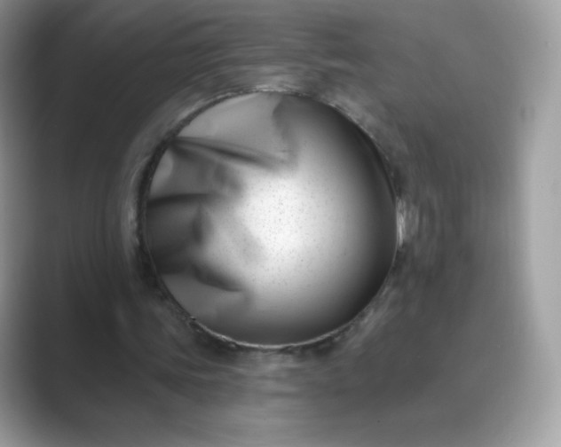 X0000089740339200707051801