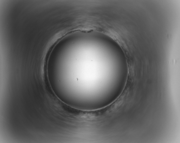 X0000089740340200707051801