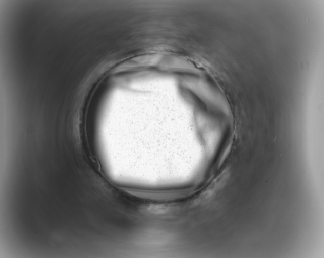 X0000089740341200707051801