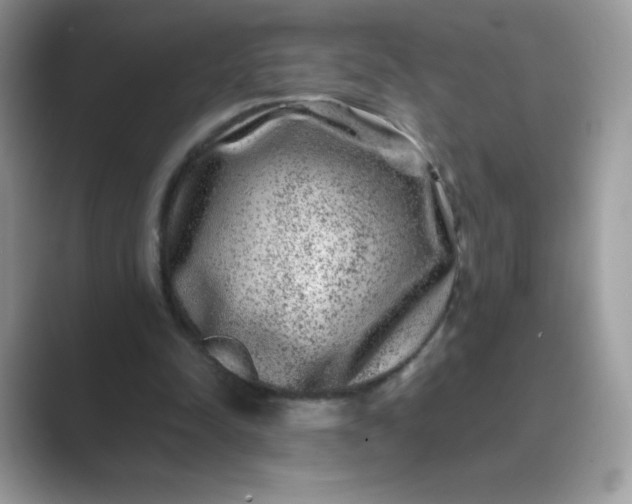 X0000089740342200707051801