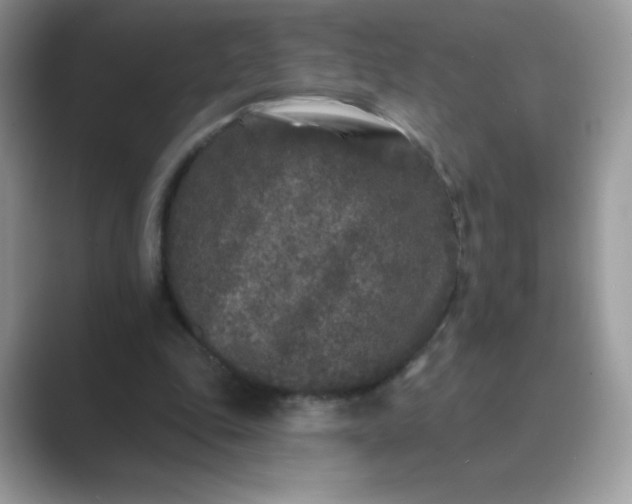 X0000089740343200707051801