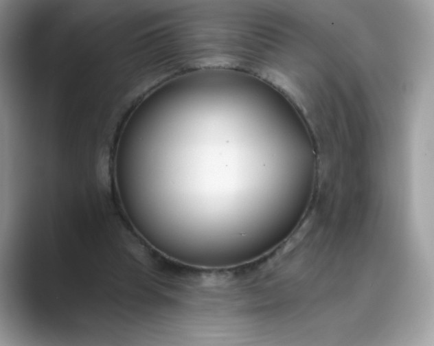 X0000089740345200707051801