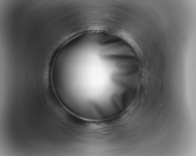 X0000089740346200707051801