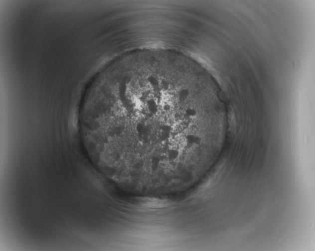 X0000089740347200707051801