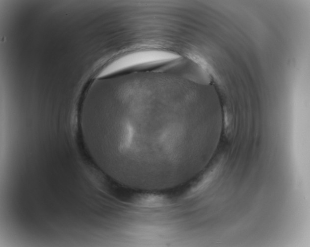 X0000089740348200707051801