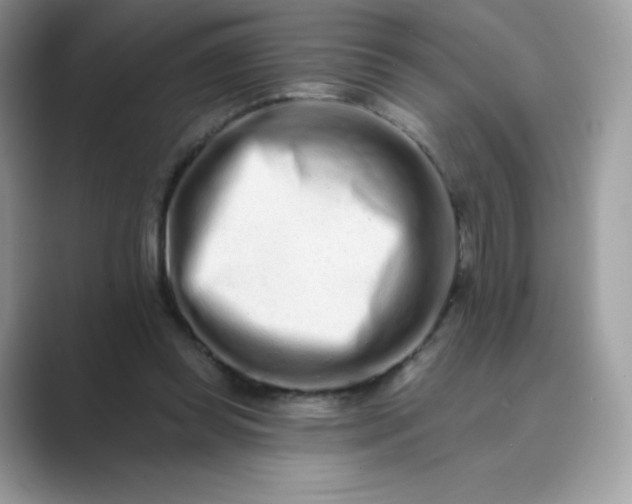 X0000089740349200707051801