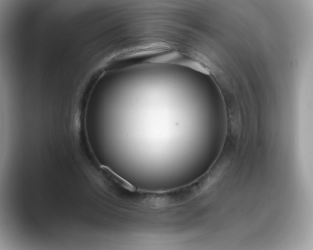 X0000089740350200707051801