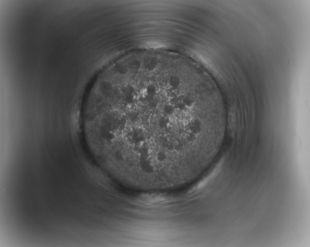 X0000089740351200707051801