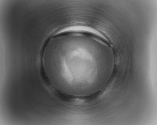 X0000089740352200707051801