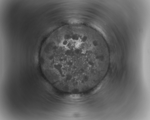 X0000089740353200707051801