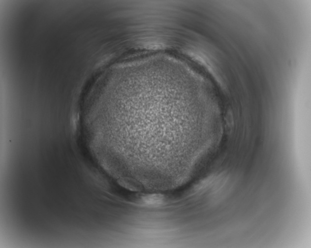 X0000089740355200707051801