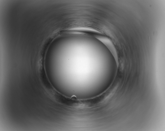 X0000089740356200707051801