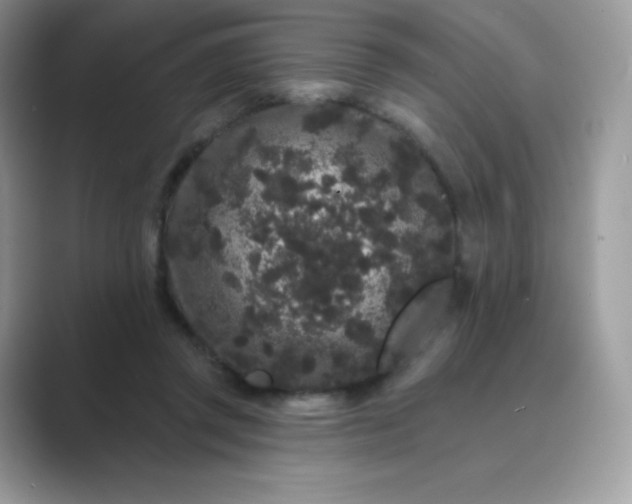 X0000089740357200707051801